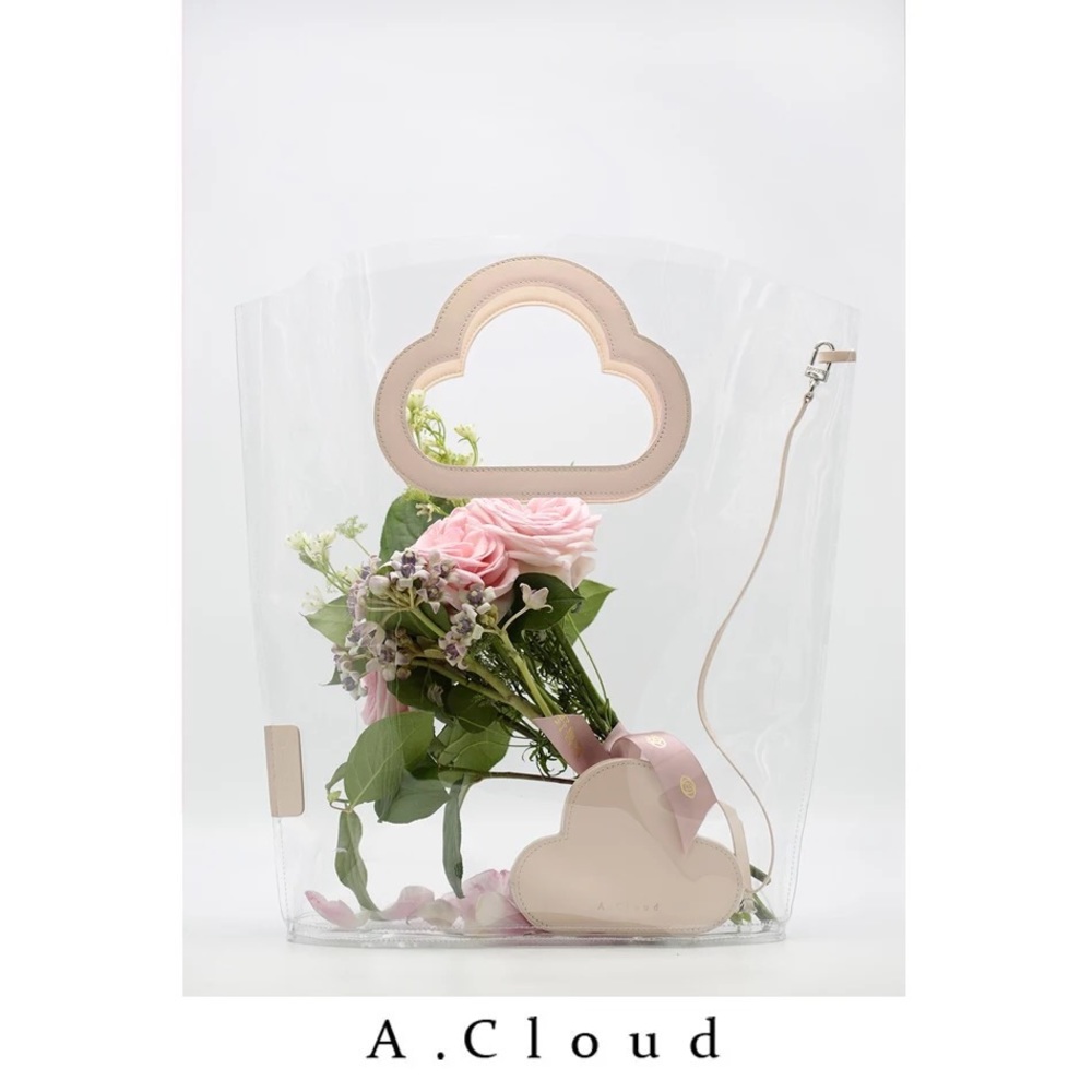 A.Cloud Summer Transparent Tote + a Cloud purse